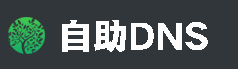 自助DNS